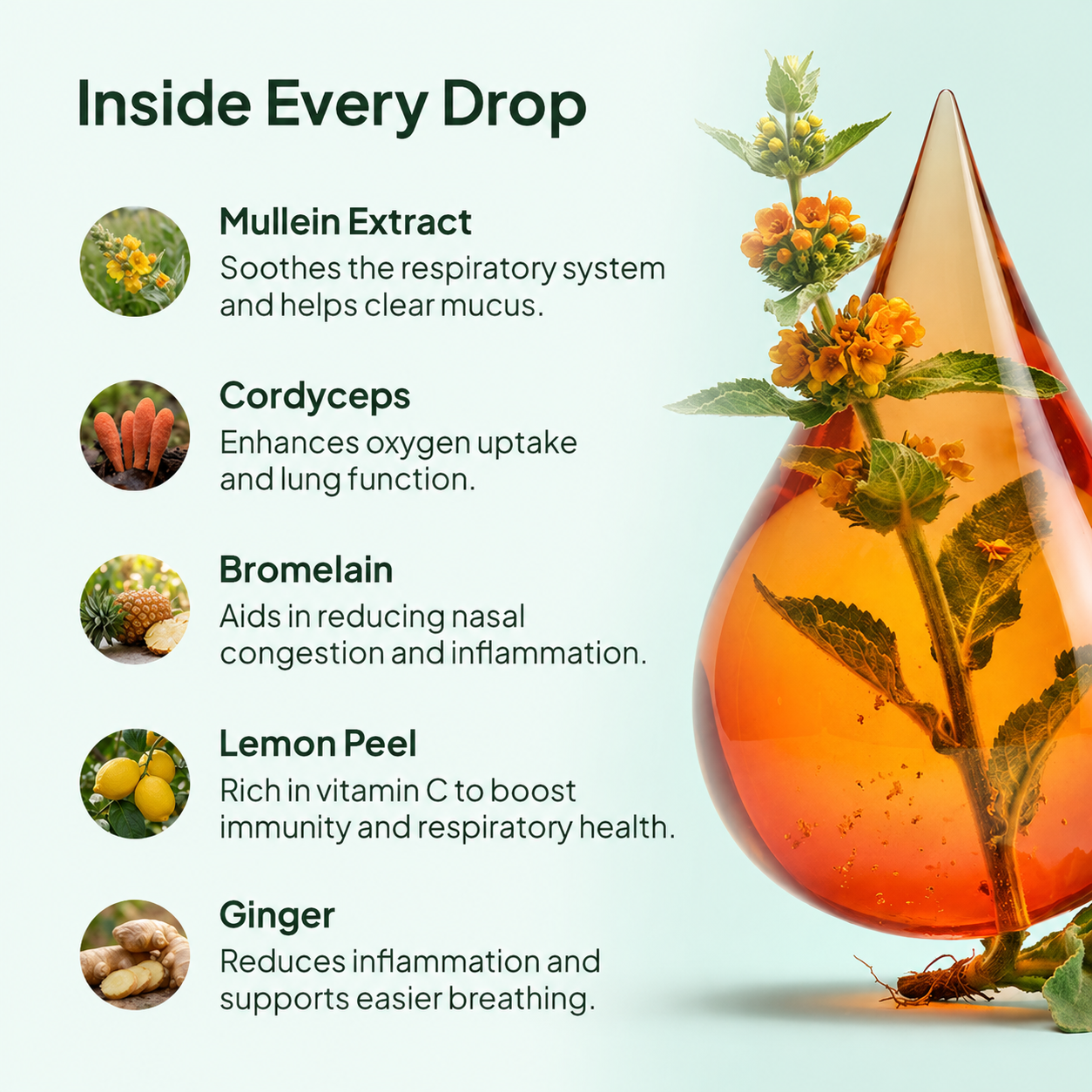 Orva Mullein Drops